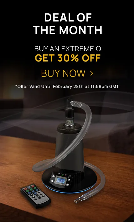 UK ENGLISH_Deal Of The Month_MOBILE